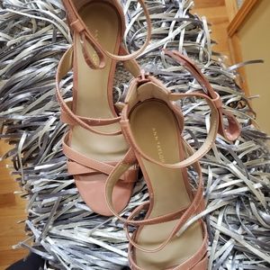 Ann Taylor